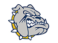  grey bulldog wearing a yellow collar